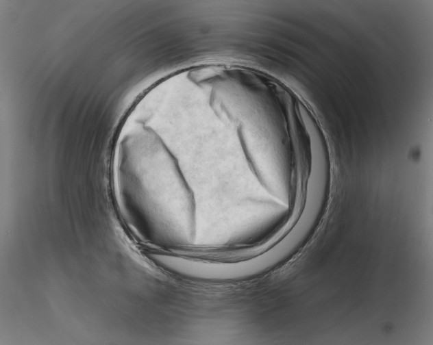 X0000116260854200912291455