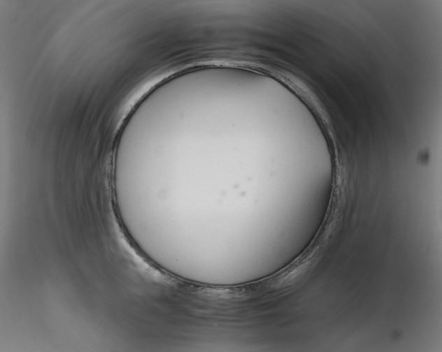 X0000116260855200912291455