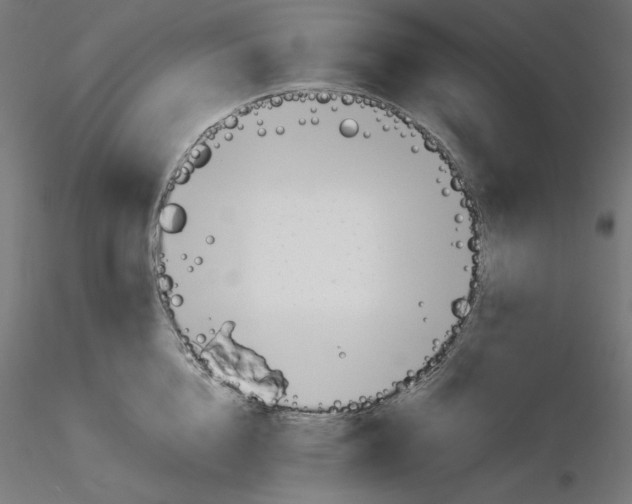 X0000116260856200912291455