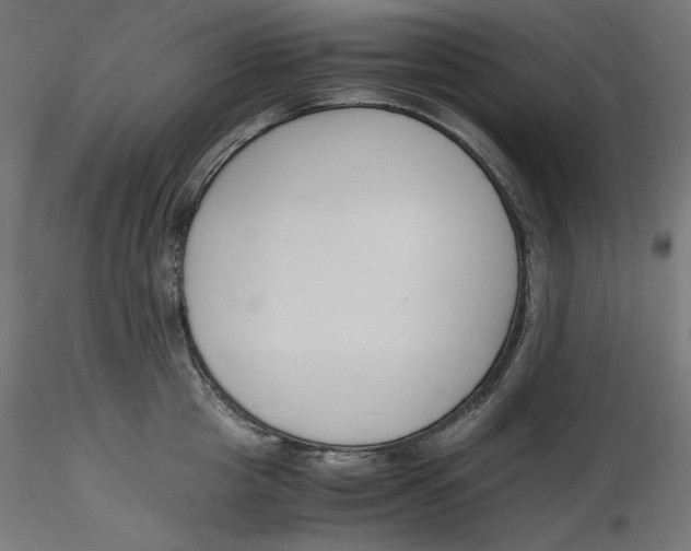 X0000116260857200912291455