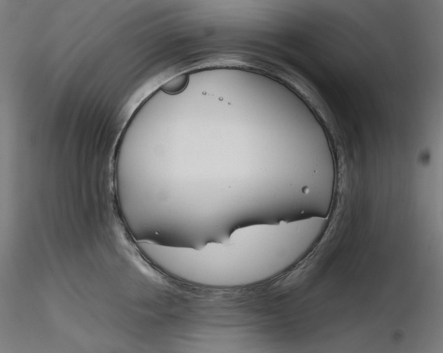 X0000116260858200912291455