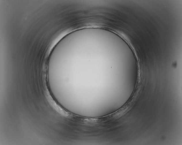 X0000116260859200912291455