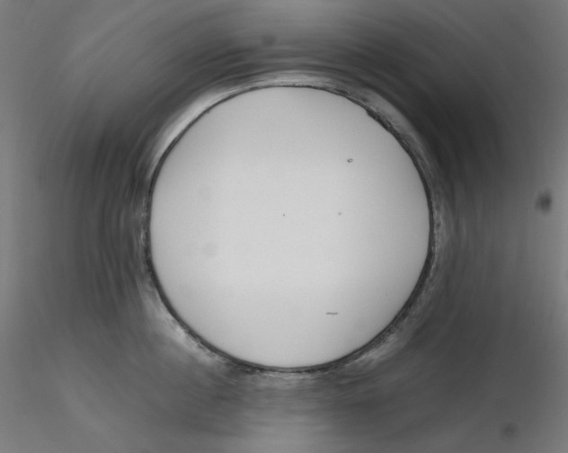X0000116260860200912291455