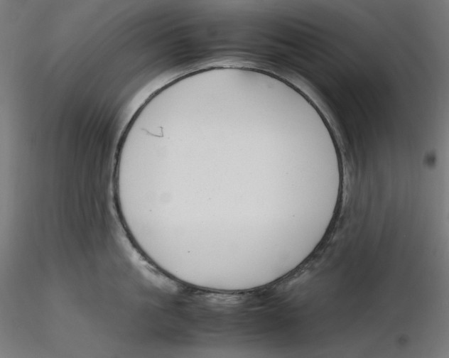 X0000116260861200912291455