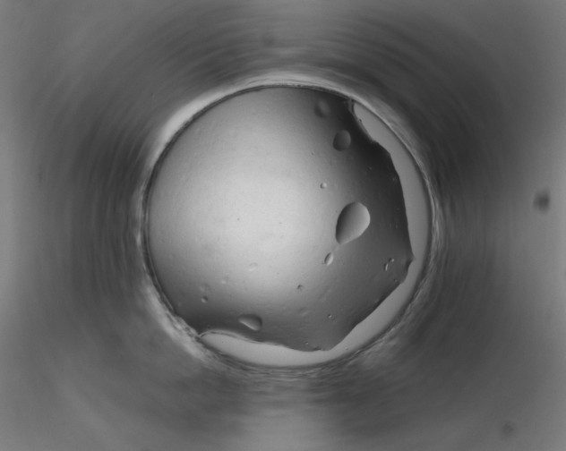 X0000116260862200912291455