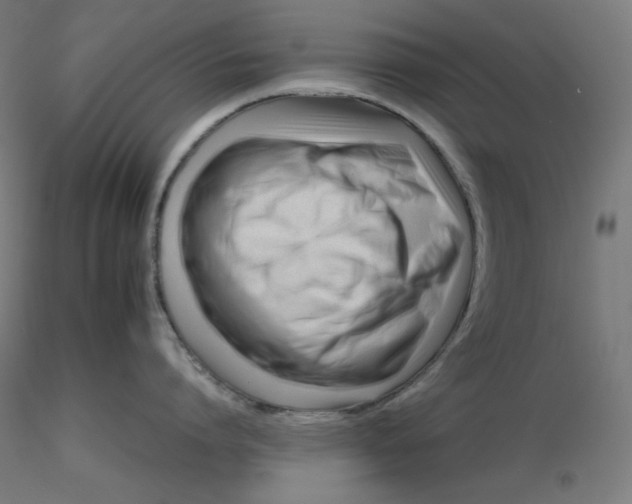 X0000116260864200912291455