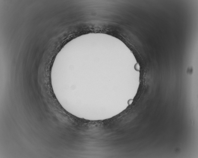 X0000116260865200912291454