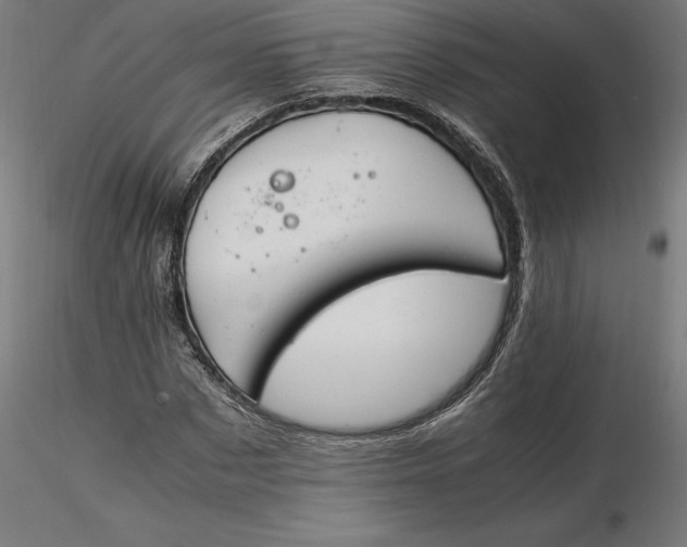 X0000116260873200912291454