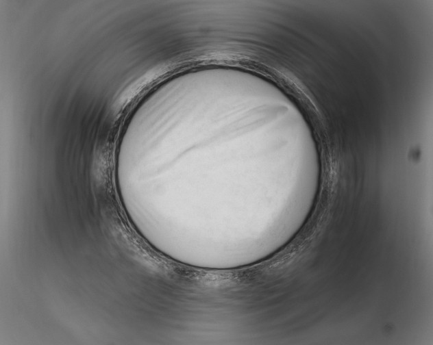 X0000116260874200912291454