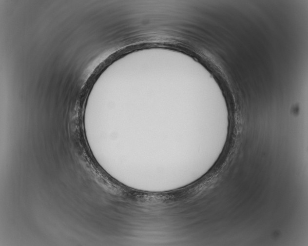 X0000116260875200912291454