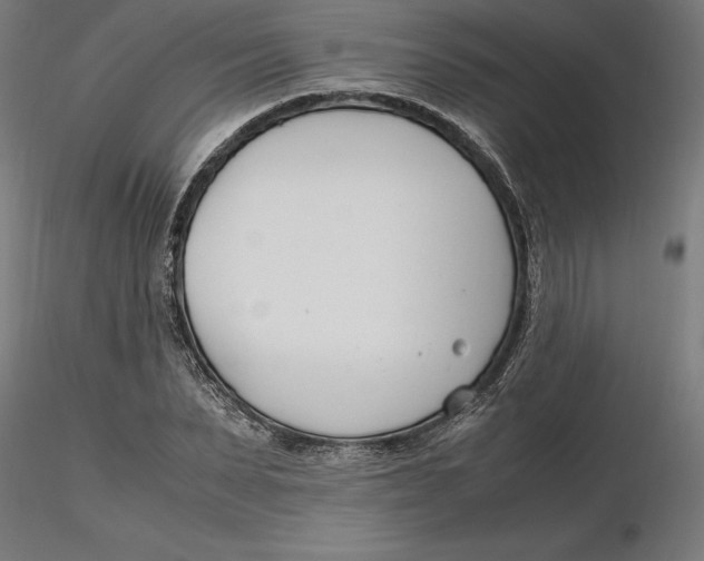X0000116260879200912291454