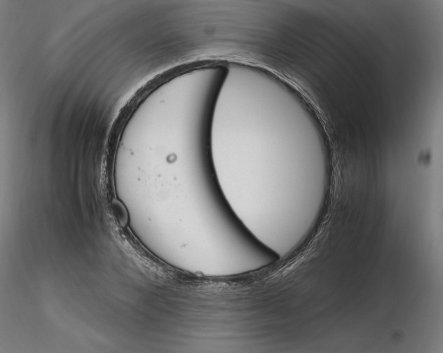 X0000116260880200912291454