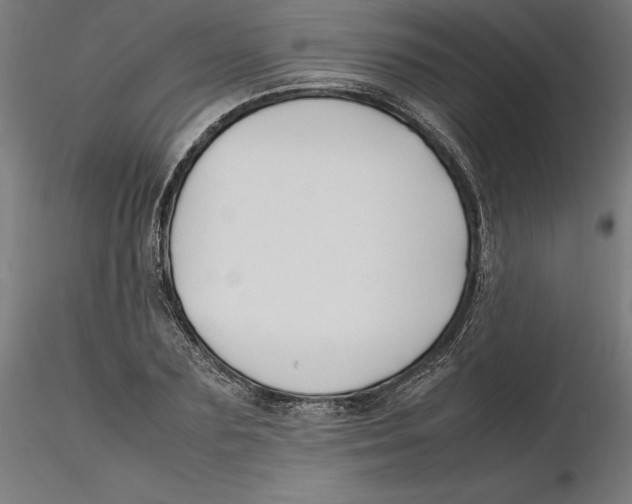 X0000116260883200912291454