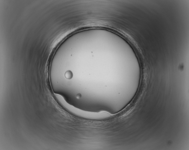 X0000116260885200912291454