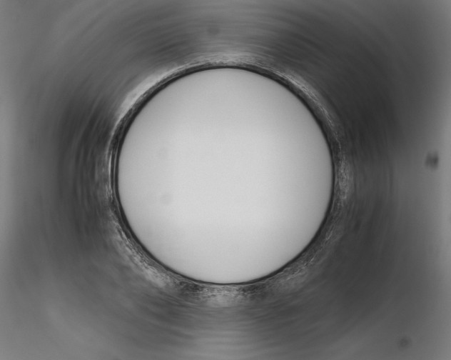 X0000116260886200912291454