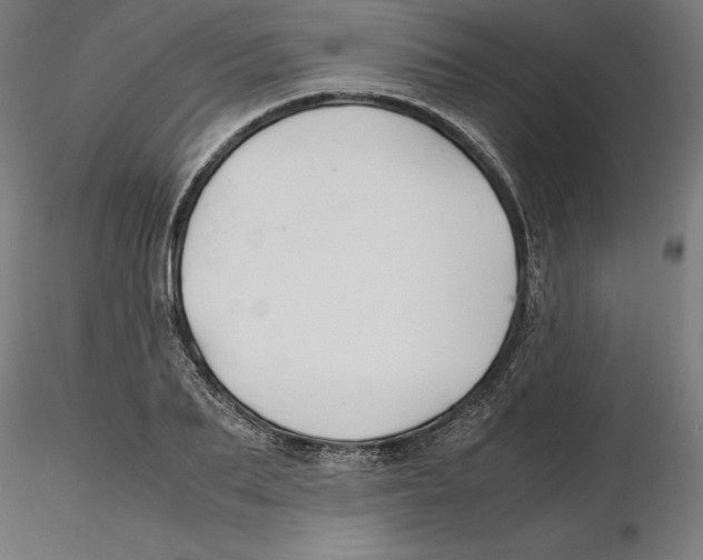 X0000116260887200912291454
