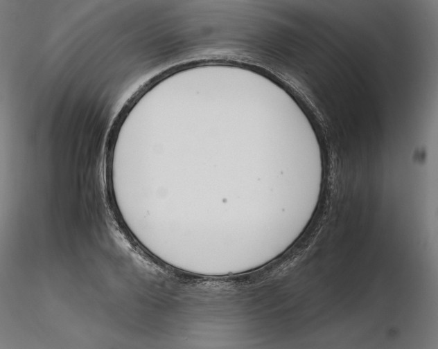 X0000116260888200912291454