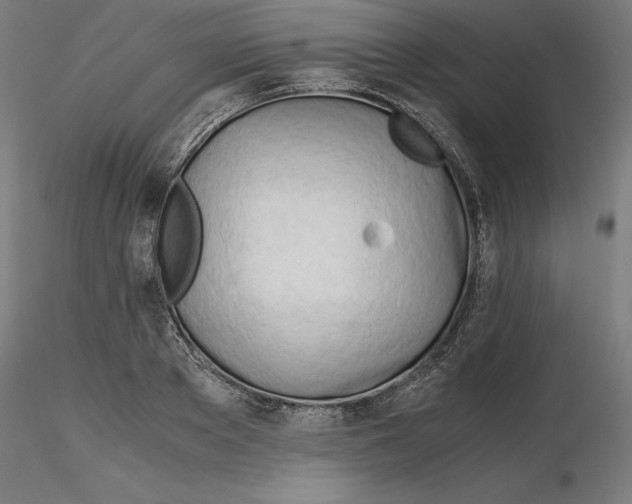 X0000116260889200912291454