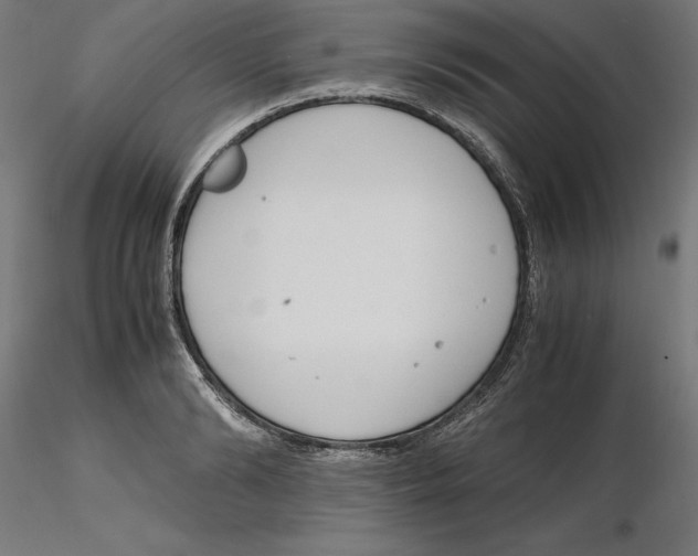X0000116260894200912291454