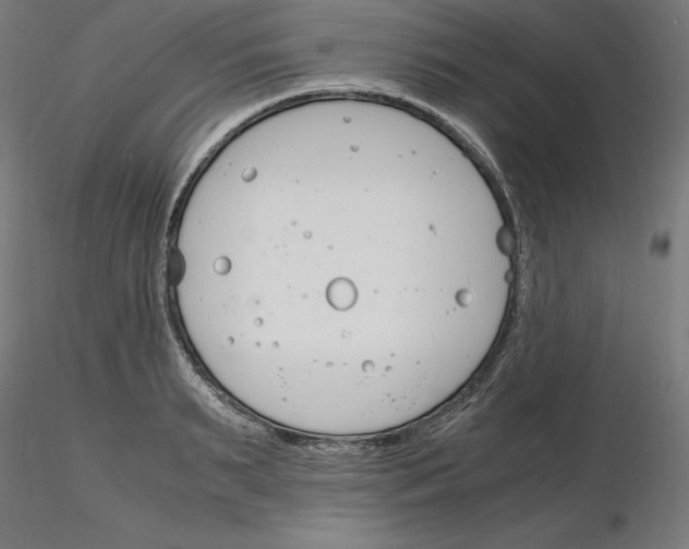 X0000116260895200912291454