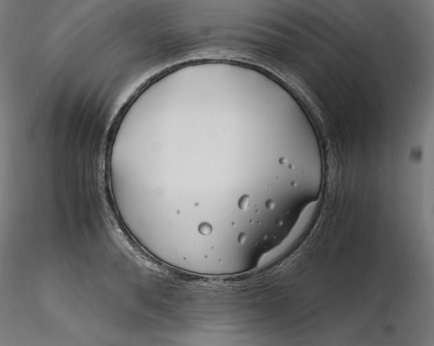 X0000116260896200912291454