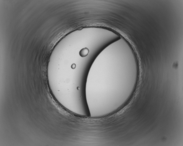 X0000116260897200912291454