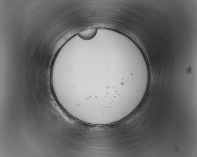 X0000116260898200912291454