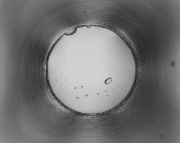 X0000116260900200912291454