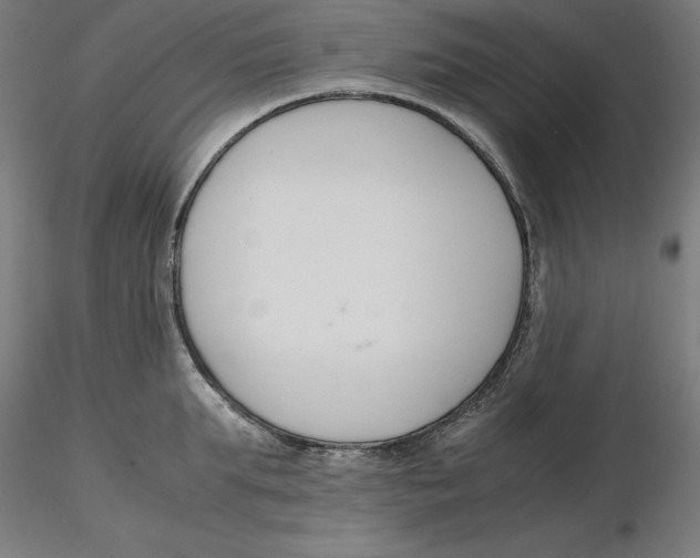 X0000116260903200912291454