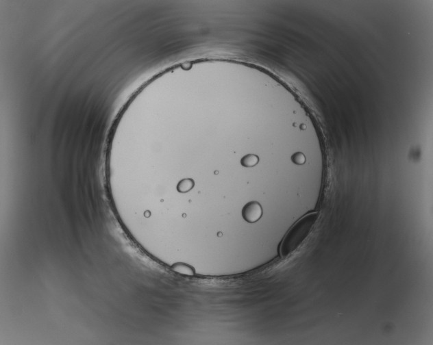 X0000116260904200912291454