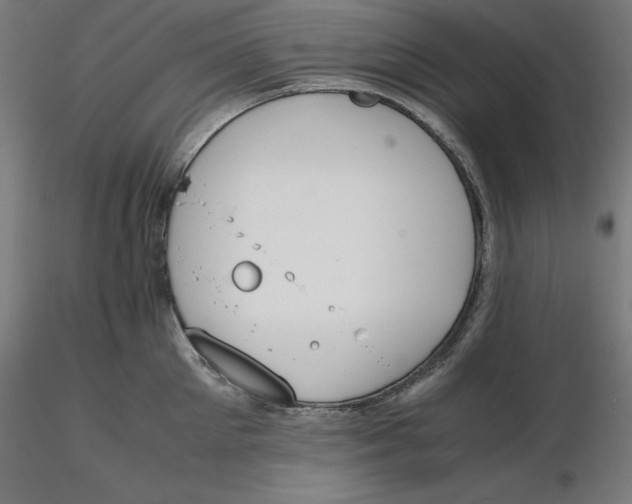 X0000116260905200912291454