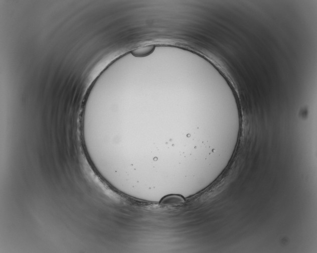 X0000116260906200912291454