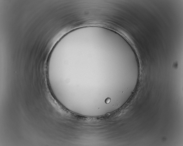 X0000116260907200912291454