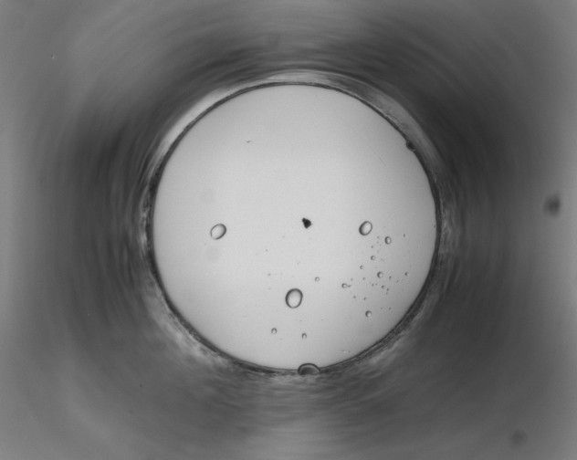 X0000116260908200912291454