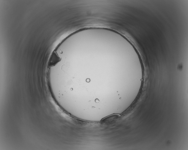 X0000116260909200912291454