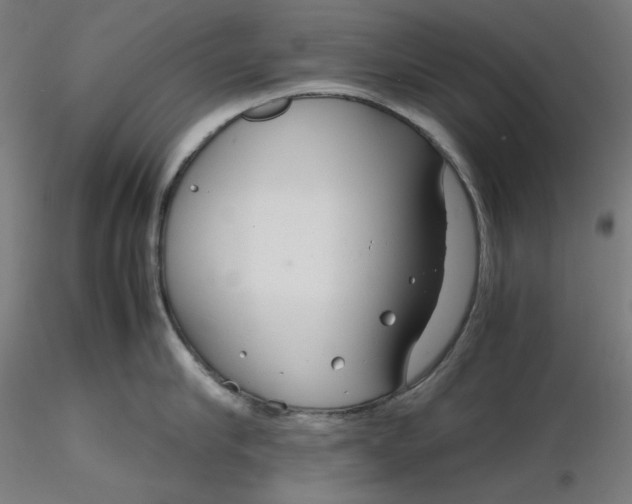 X0000116260910200912291453