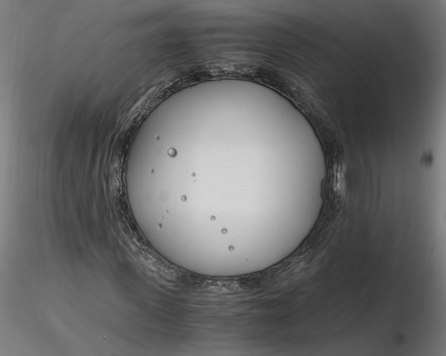 X0000116260915200912291453