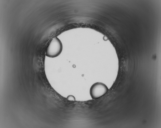 X0000116260918200912291453