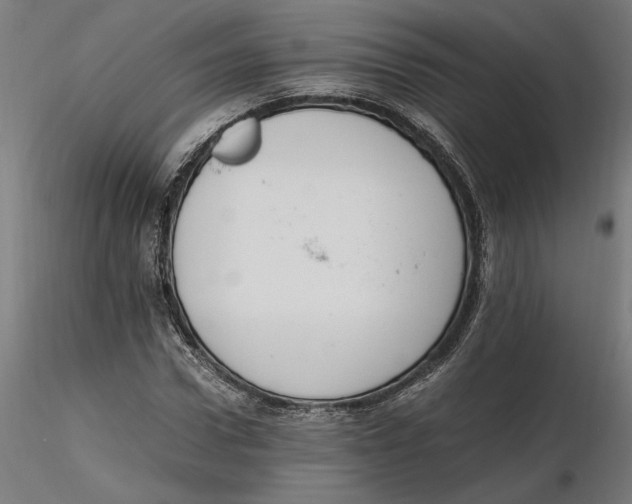 X0000116260922200912291453