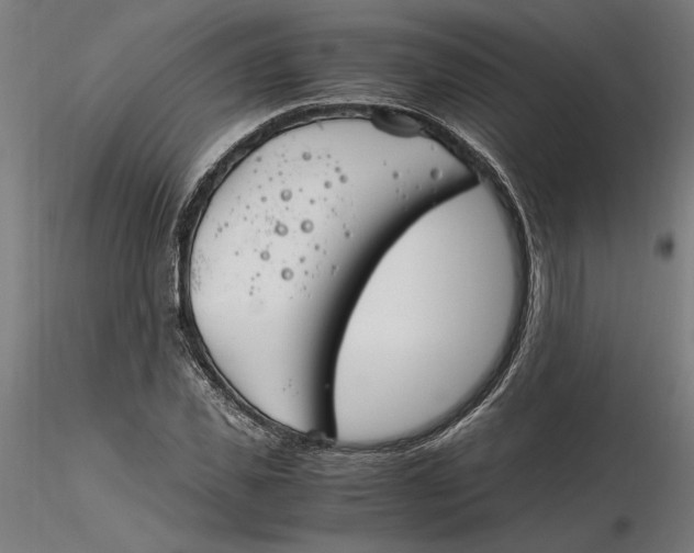 X0000116260925200912291453