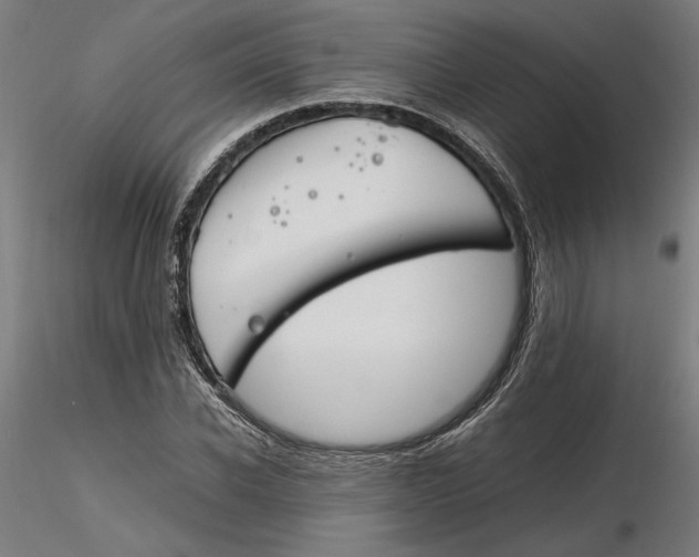 X0000116260926200912291453