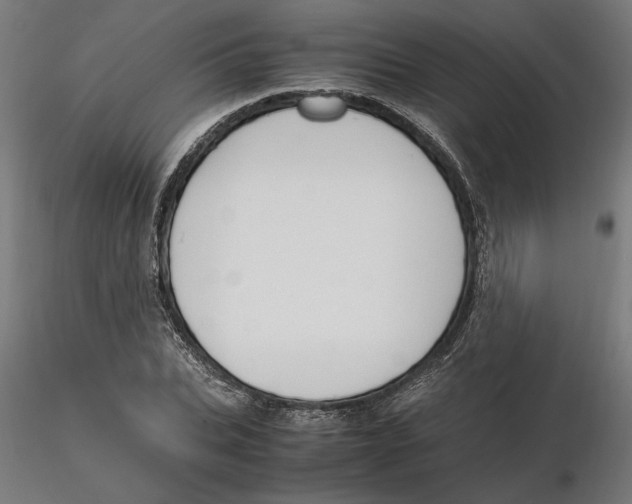 X0000116260927200912291453