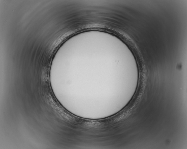 X0000116260929200912291453