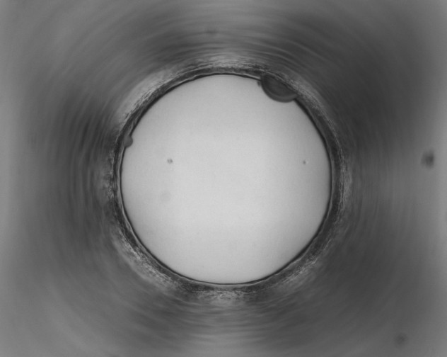 X0000116260930200912291453