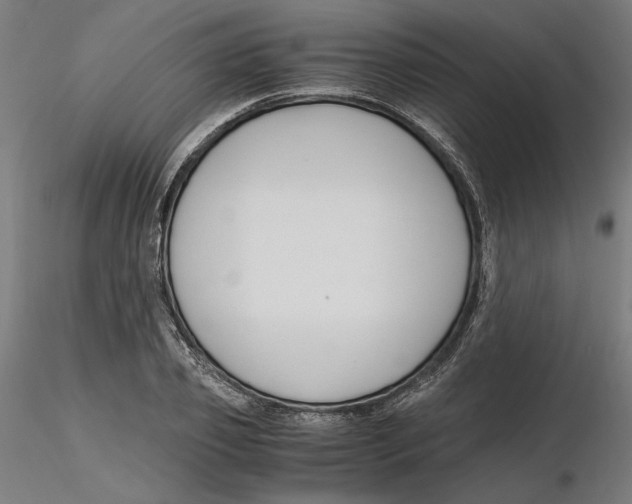X0000116260933200912291453