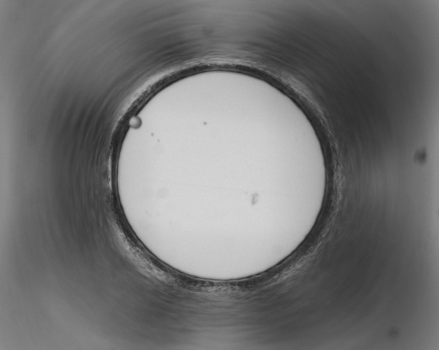 X0000116260934200912291453