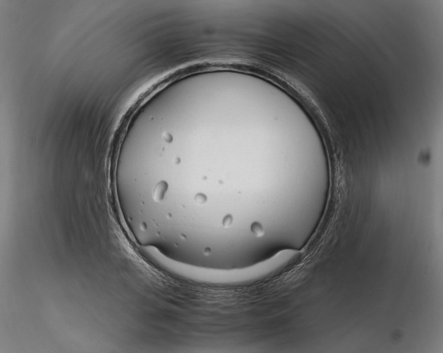 X0000116260935200912291453