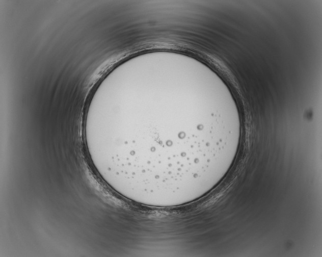 X0000116260938200912291453