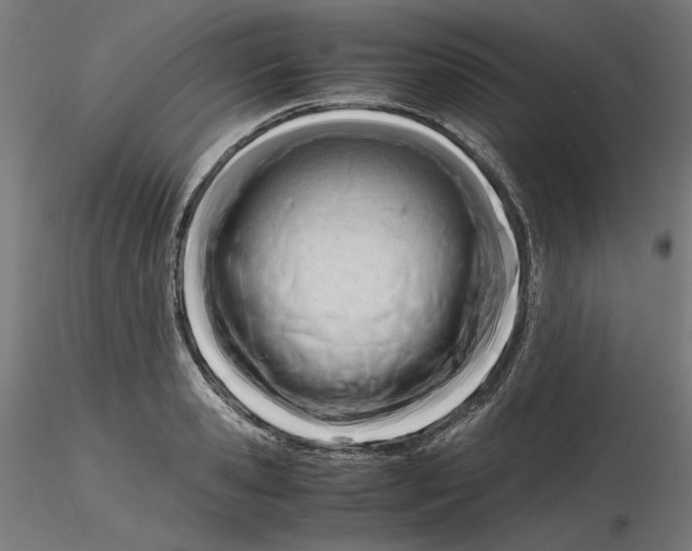 X0000116260941200912291453