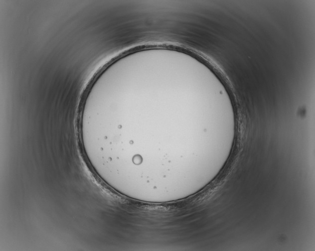 X0000116260943200912291453